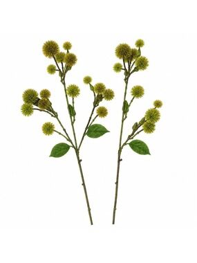 Moss Green Pom Pom Thistle Stem 2 Stems